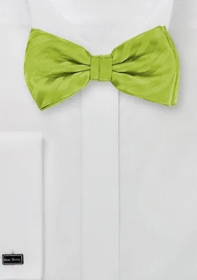 Green Apple Narrow Striped Bowtie