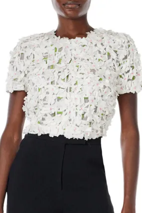 Short Sleeve Embroidered Top